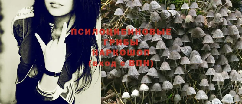 это формула  Чкаловск  Галлюциногенные грибы MAGIC MUSHROOMS 